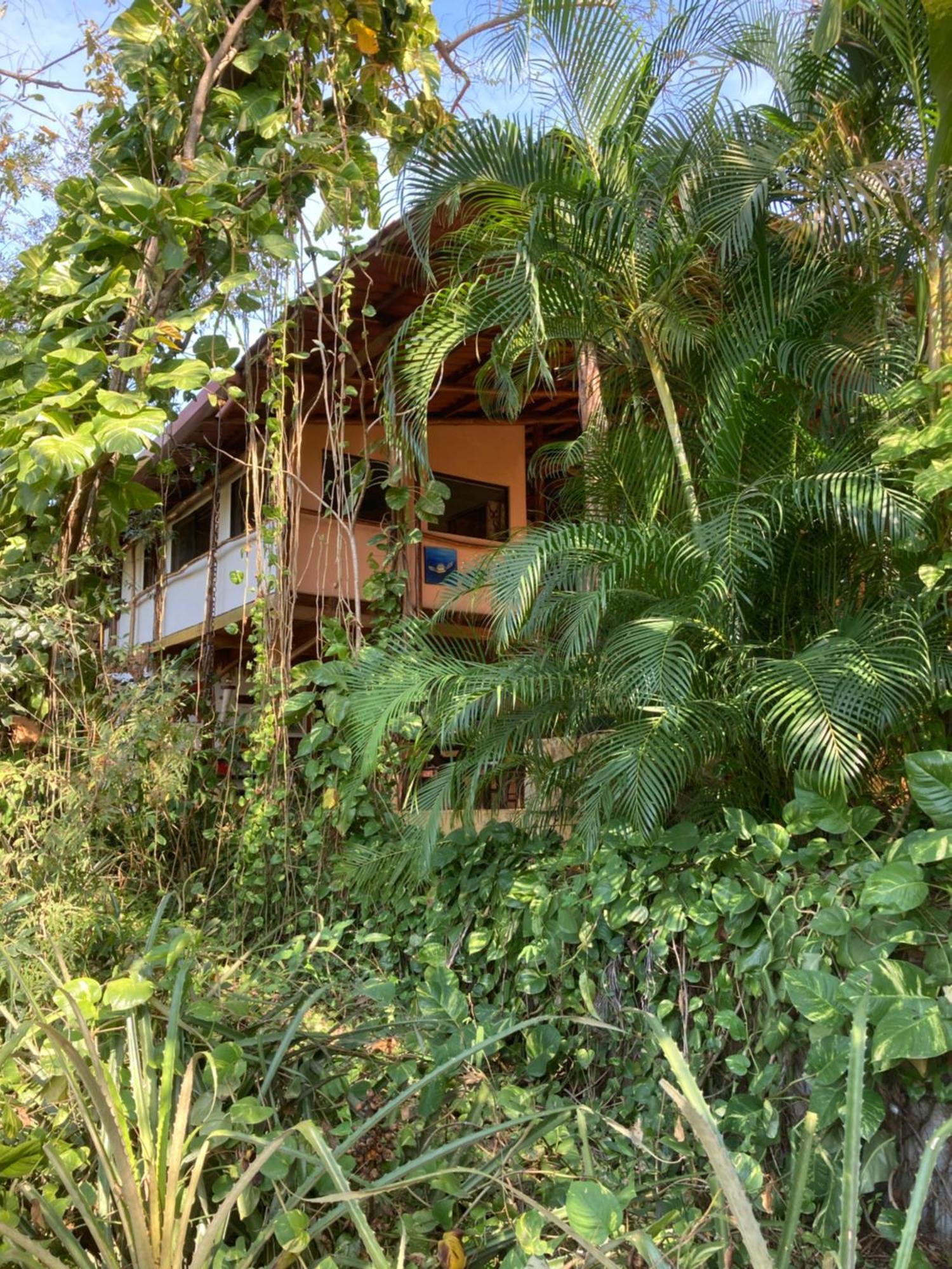 Mundo Milo Eco Lodge Paraíso Eksteriør billede