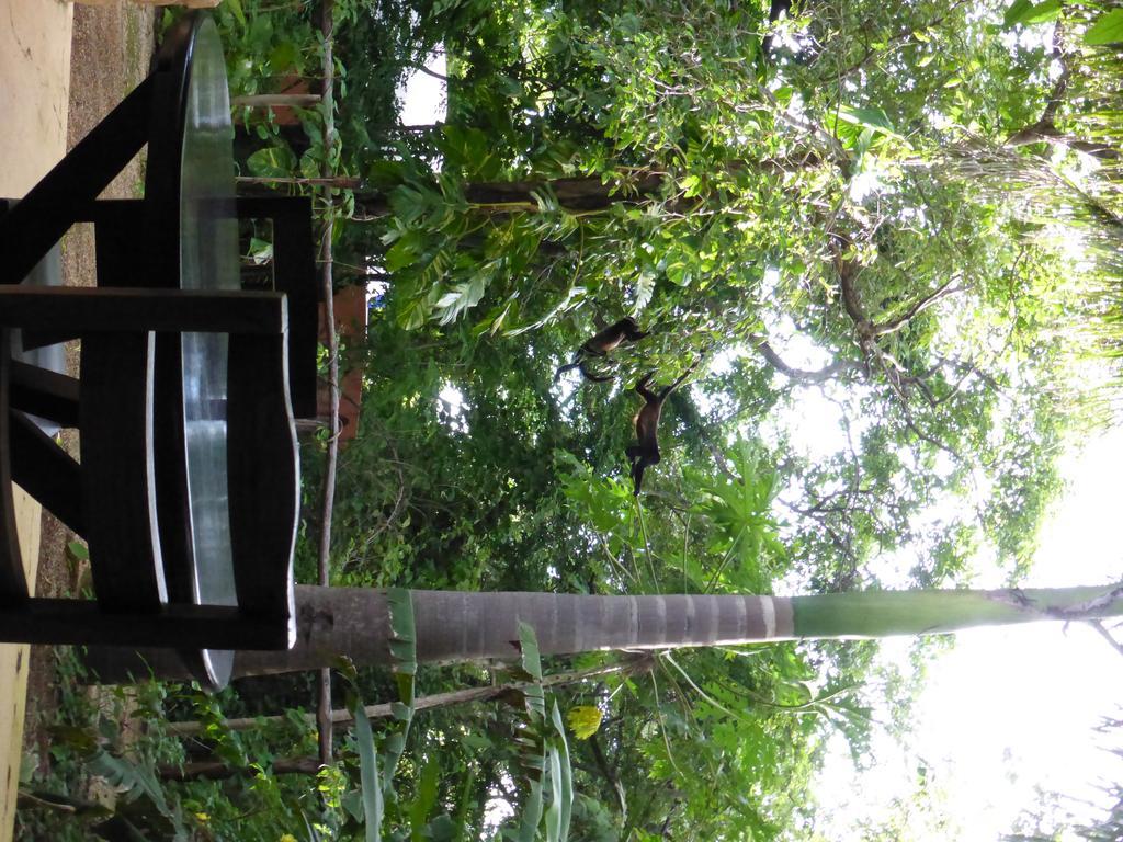 Mundo Milo Eco Lodge Paraíso Eksteriør billede