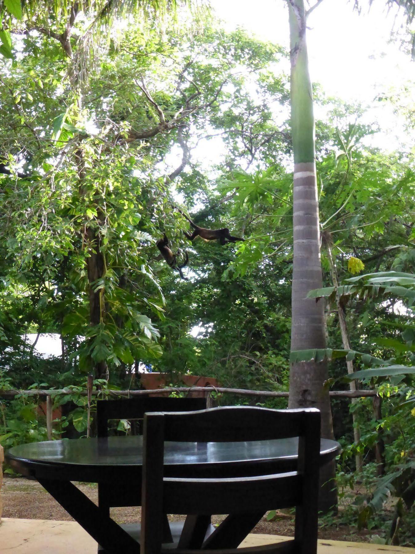 Mundo Milo Eco Lodge Paraíso Eksteriør billede